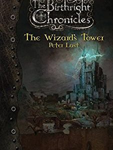 The Wizard's Tower (The Birthright Chronicles Book 2)